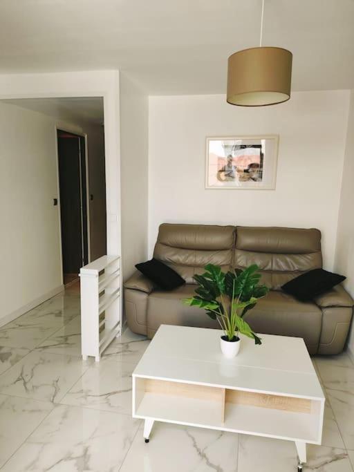 Apartment 44m2 Avec Piscine Morieres-les-Avignon